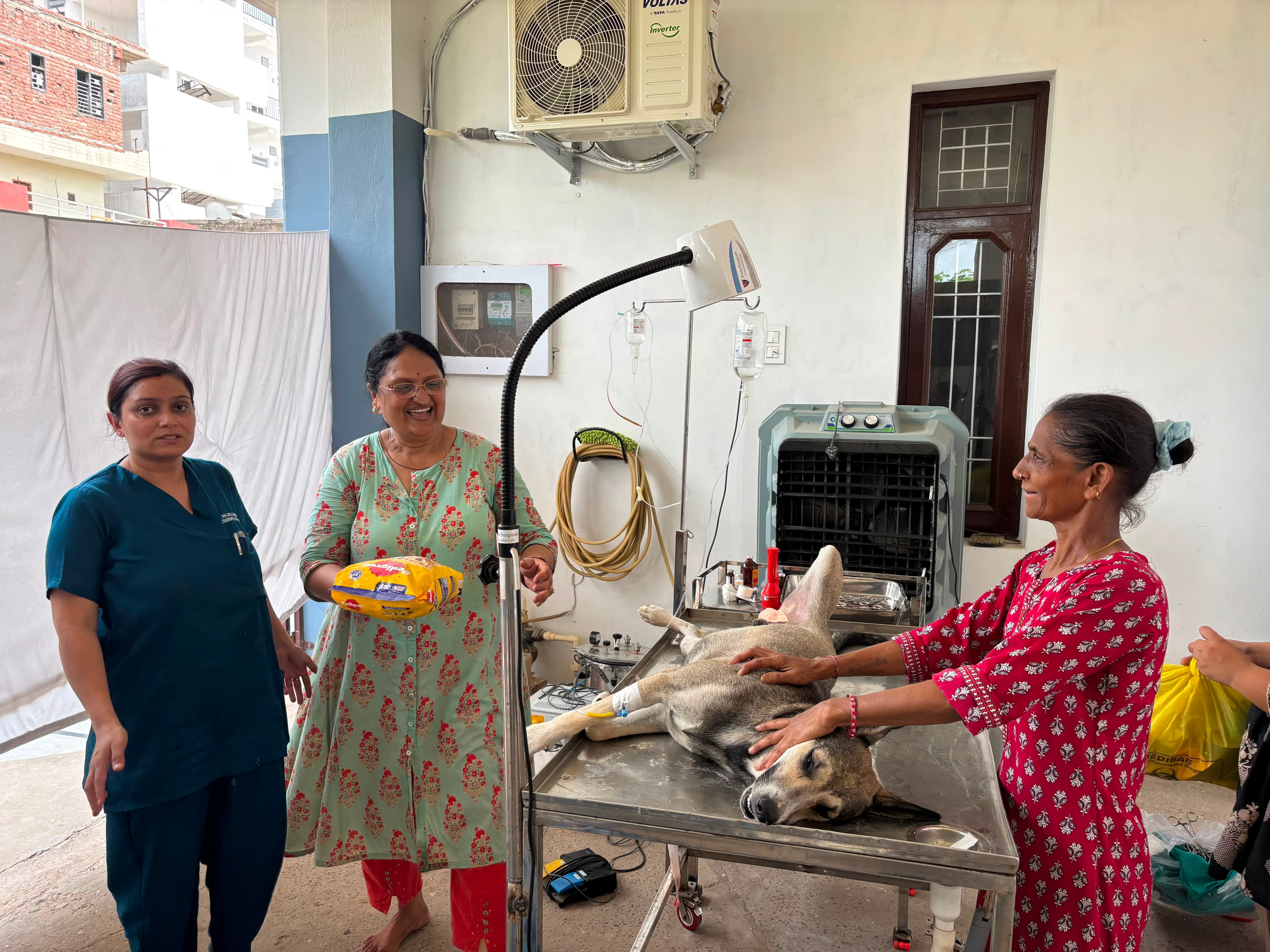 Smiling clinic team around a recovering dog patient
