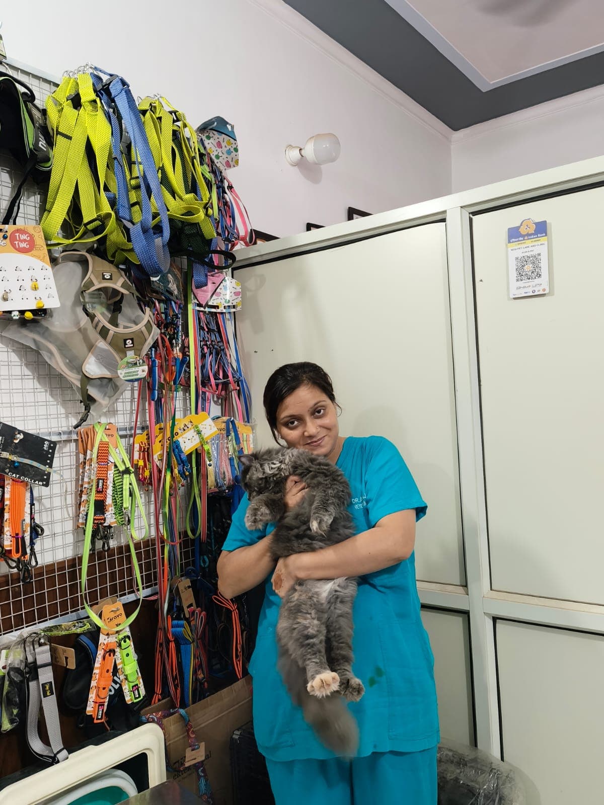 Video moments with patients at Negi Pet Care