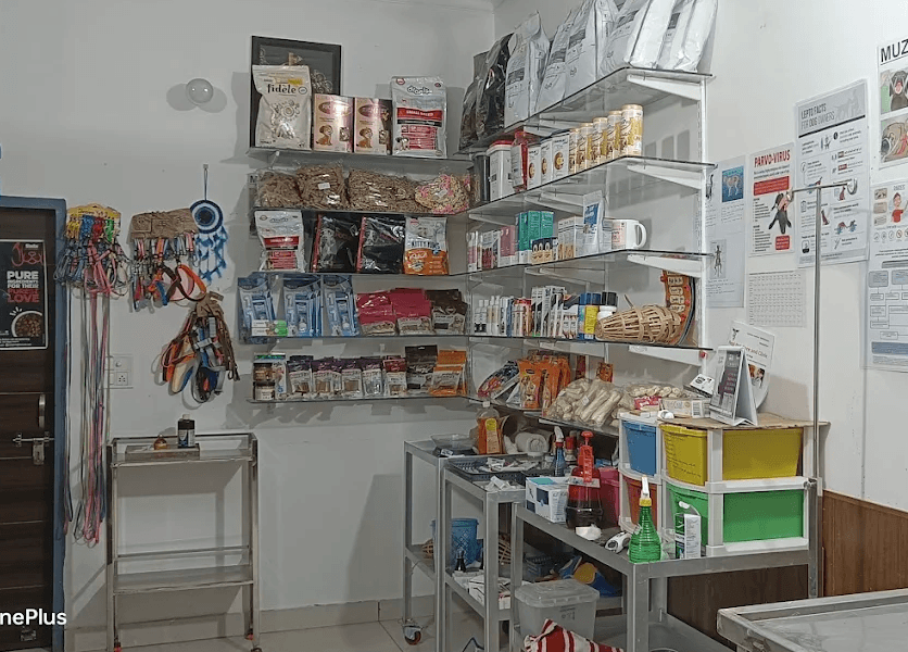 Baddi clinic