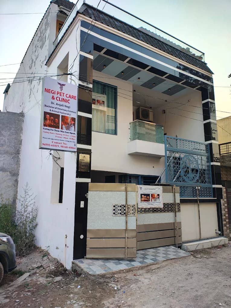 Pinjore clinic