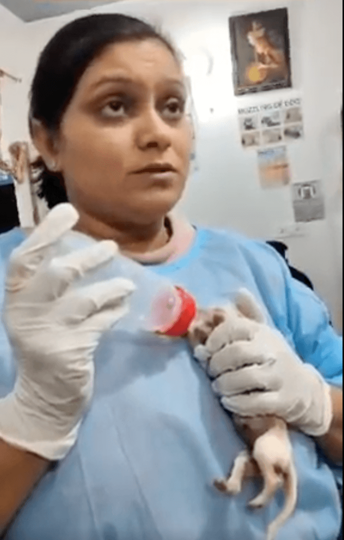 Neonatal care and patient guidance at the clinic